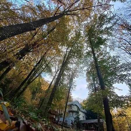 База Відпочинку Шиповець Poroshkovo 외부 사진